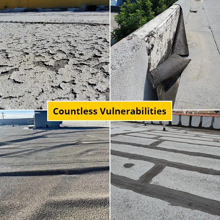 countless vulnerabilities